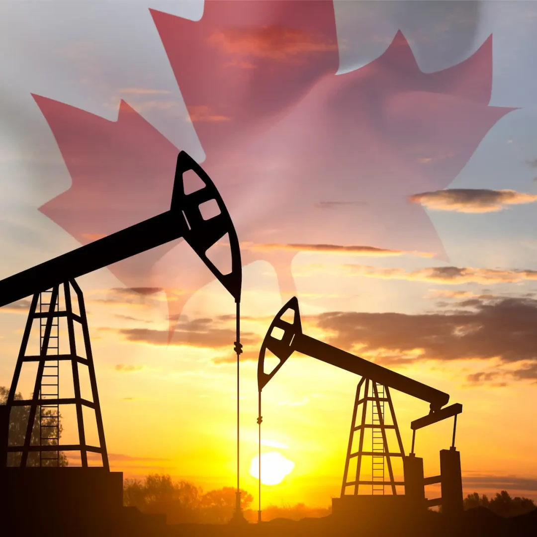 AdobeStock_1054079559